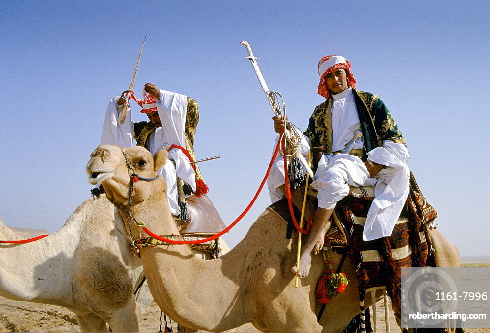 Chameaux et cavaliers à Riyad