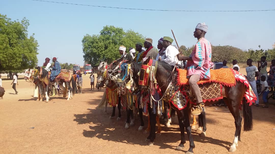Pratique du Camel Polo au Bénin