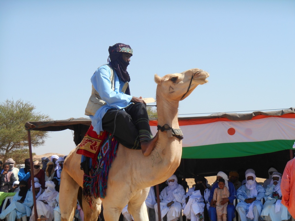 Séminaire webinaire du Camel Polo Africain